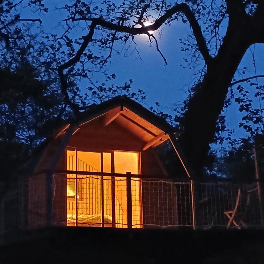 Chambres D'Hotes Au Chateau De Gizeux 外观 照片